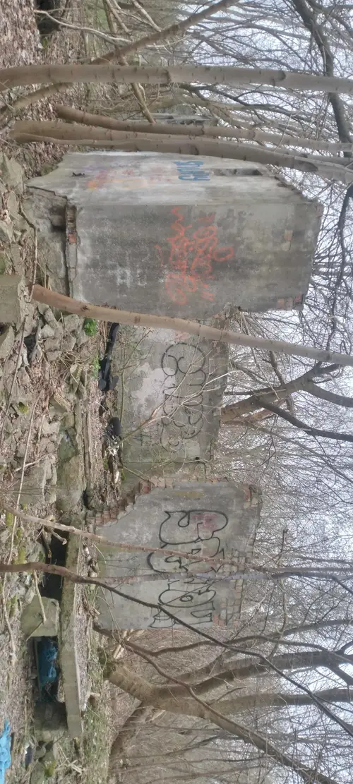 Ruiny kilku domów w lasku - photo 2/6