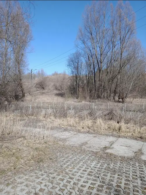 Stary zapomniany teren retencyjny - zdjęcie 4/5