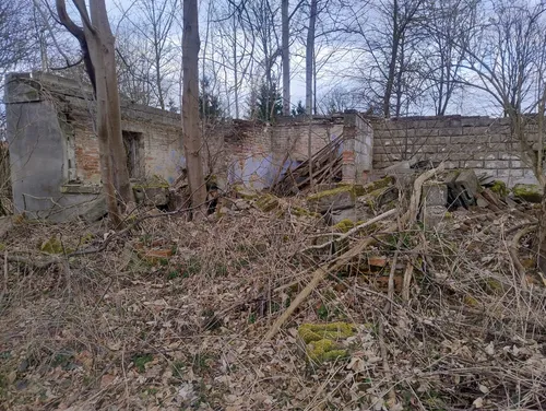 Ruiny gospodarstwa - zdjęcie 4/6