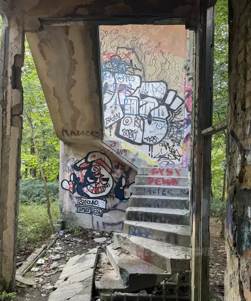 Zakład dla Nerwowo i Psychicznie Chorych Żydów - Zofiówka - photo 19/360