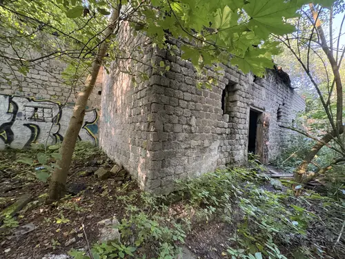 Ruiny opuszczonego domu