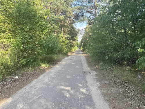 Opuszczone kurniki / dawna ferma drobiu - zdjęcie 2/19