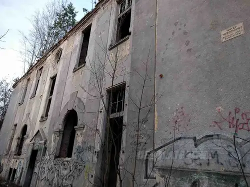 Zakład dla Nerwowo i Psychicznie Chorych Żydów - Zofiówka - photo 8/383