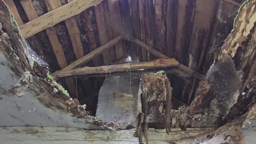 Dom i stodoła - zdjęcie 3/16