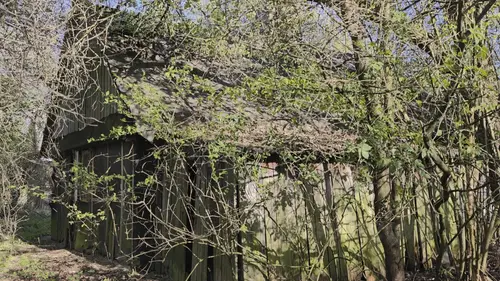 Dom i stodoła - zdjęcie 14/16