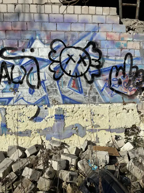 Zakład dla Nerwowo i Psychicznie Chorych Żydów - Zofiówka - photo 3/285