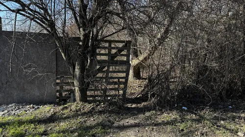 Opuszczony dom - zdjęcie 2/5