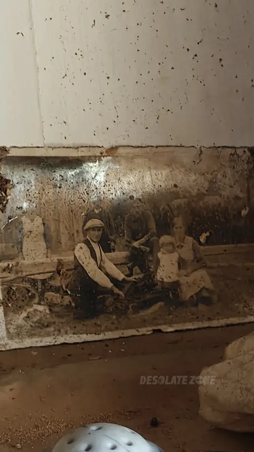 Dom i stodoły - photo 8/61