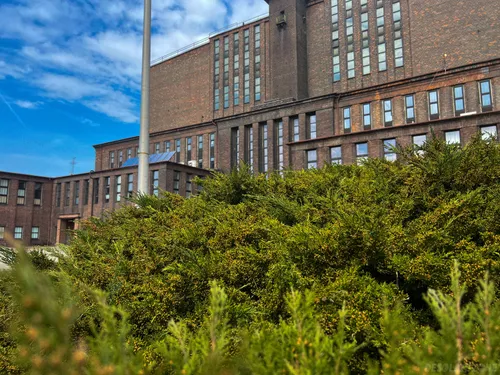 Elektrociepłownia Zabrze - photo 67/109