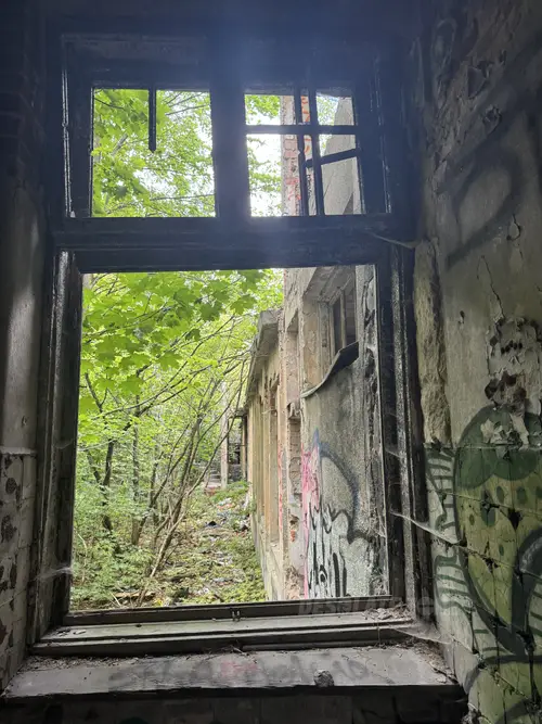 Zakład dla Nerwowo i Psychicznie Chorych Żydów - Zofiówka - photo 23/360