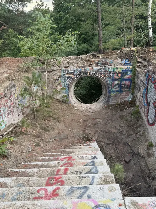 Zakład dla Nerwowo i Psychicznie Chorych Żydów - Zofiówka - photo 18/360