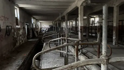 INSTYTUT HODOWLI BYDŁA, BRWINÓW - zdjęcie 1/31