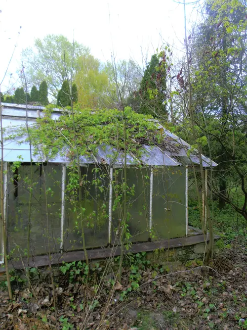 Opuszczone szklarnie - zdjęcie 7/7