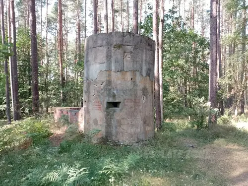 Magazyny głowic atomowcyh , Brzeźnica Kolonia - photo 4/18