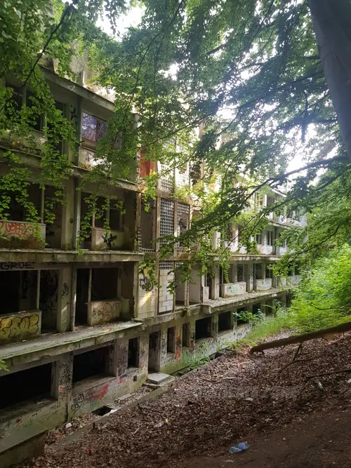 Zarośnięte tarasy domu Zdrowie w Gdyni Orłowie