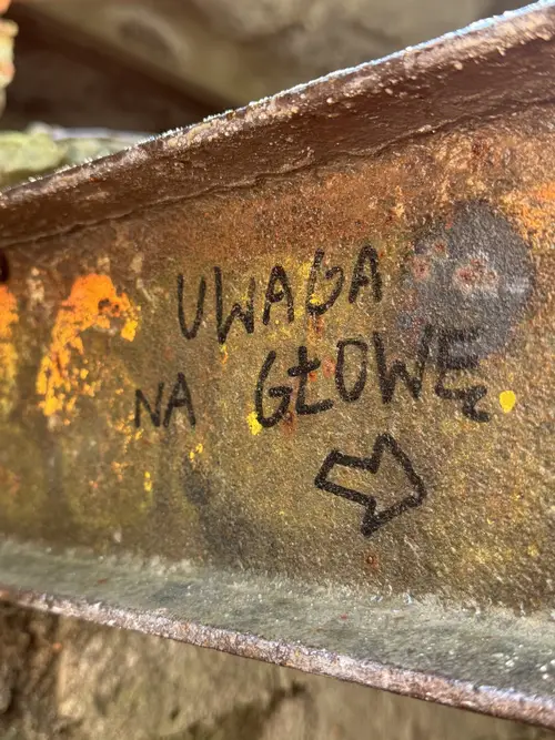 Zakład dla Nerwowo i Psychicznie Chorych Żydów - Zofiówka - photo 10/360