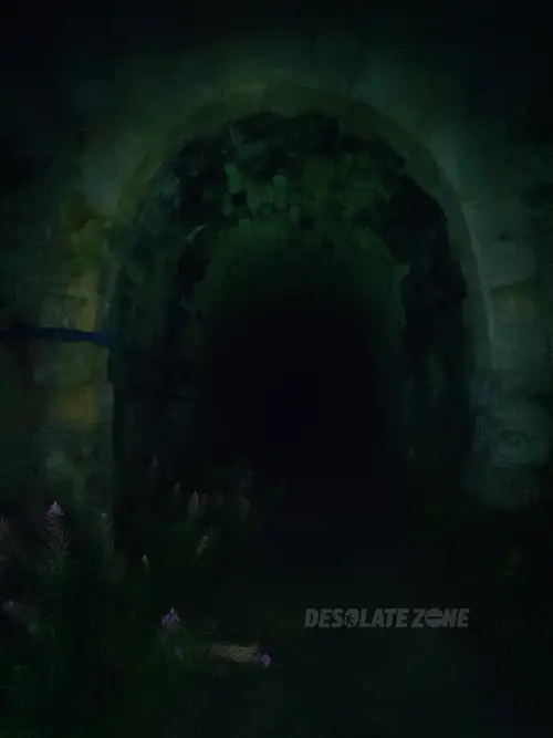 Tunel kolejowy pod Małym Wołowcem - zdjęcie 1/22