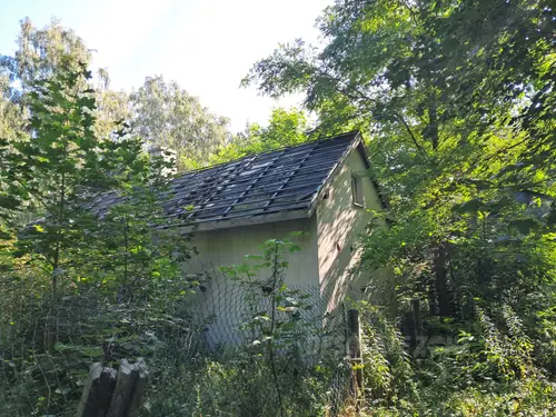 Opuszczona działka - zdjęcie 2/2