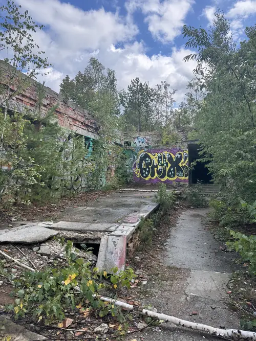 Zakład dla Nerwowo i Psychicznie Chorych Żydów - Zofiówka - photo 15/360