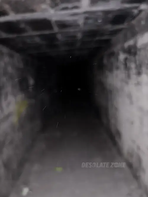 Zakład dla Nerwowo i Psychicznie Chorych Żydów - Zofiówka - zdjęcie 4/312