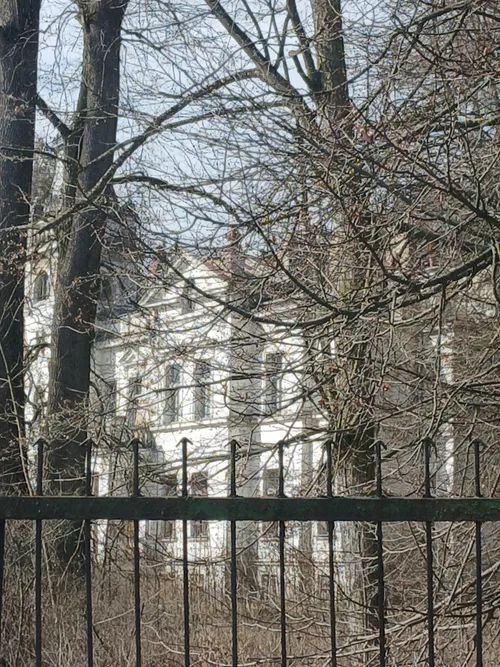 Pałac Wola Boglewska była szkola