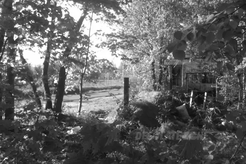 Tor wyścigów konnych, Łódź - photo 9/197