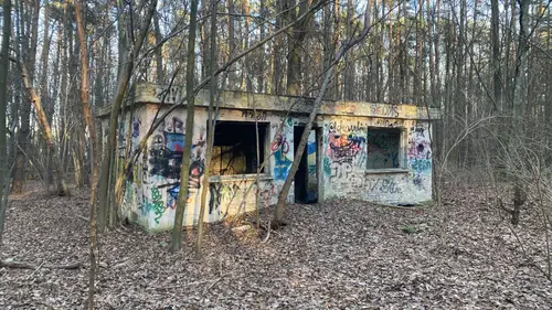 Szkółka roślin ozdobnych - zdjęcie 1/4