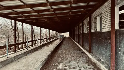 Gospodarstwo - zdjęcie 26/26