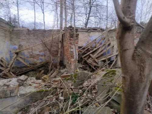 Ruiny gospodarstwa - zdjęcie 2/6