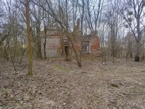 Ruiny Dworu p. Kleczkowskiej w Wiączyniu Dolnym - zdjęcie 1/11