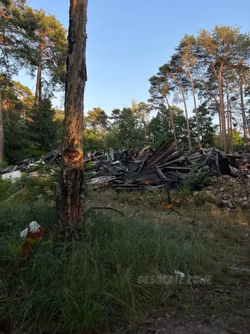 Spalony domek w lesie - zdjęcie 3/7
