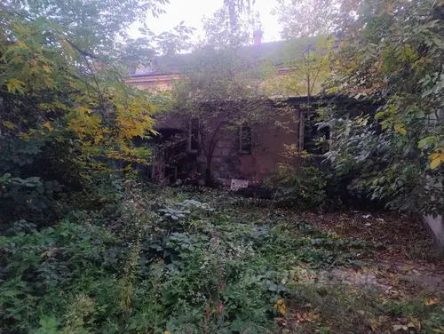 Opusczona hala ŁKS - zdjęcie 4/9