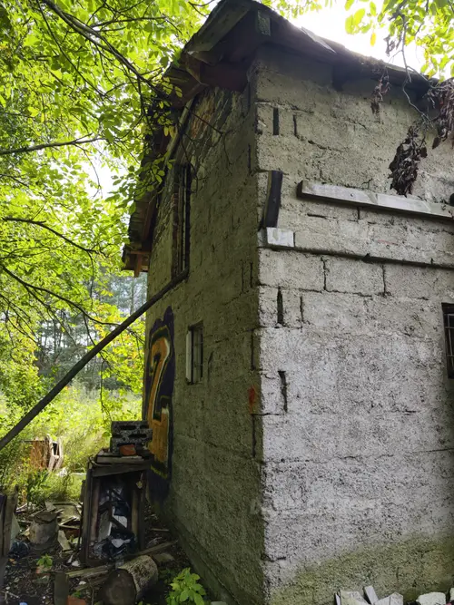 Opuszczony dom na skraju lasu - zdjęcie 44/59