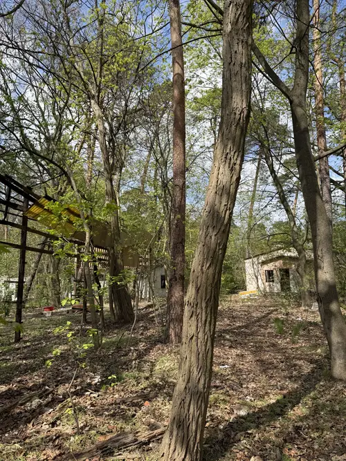 Opuszczone domki - zdjęcie 5/5