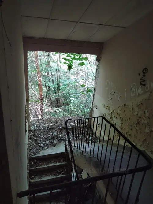 Kolonie w Justynowie, Justynów - photo 10/71