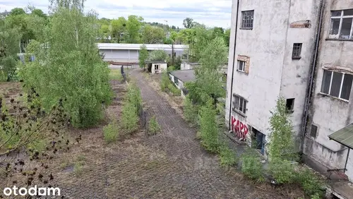 Dawne Szczecińskie COKB - zdjęcie 5/7