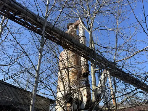 Stolarnia - zdjęcie 37/86