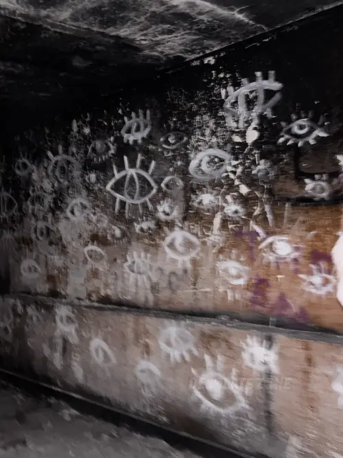 Zakład dla Nerwowo i Psychicznie Chorych Żydów - Zofiówka - zdjęcie 7/312