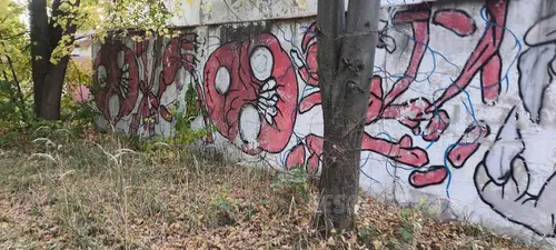 Opuszczona stajnia. - zdjęcie 7/15
