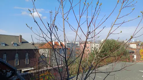 Opuszczony szpital Ginekologiczny - photo 5/61