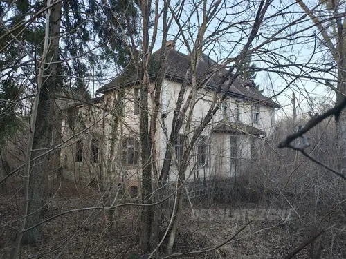 Pałac w Iglicach - zdjęcie 5/35