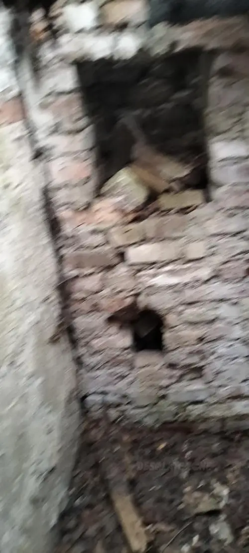 Opuszczony dom - photo 4/4