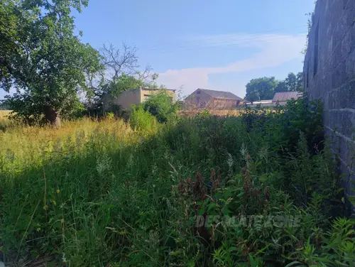 Dwa opuszczone budynki - zdjęcie 9/9
