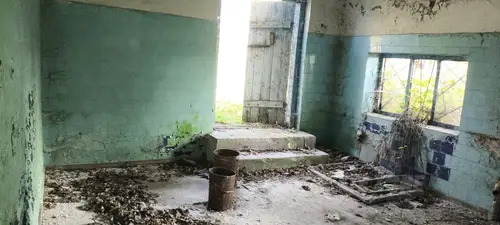 Gospodarstwo Rolne, Małusy Wielkie - photo 8/47