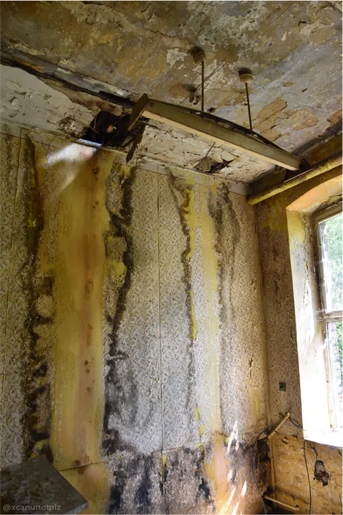 Zakłady Włókiennicze , Łódź - photo 11/15