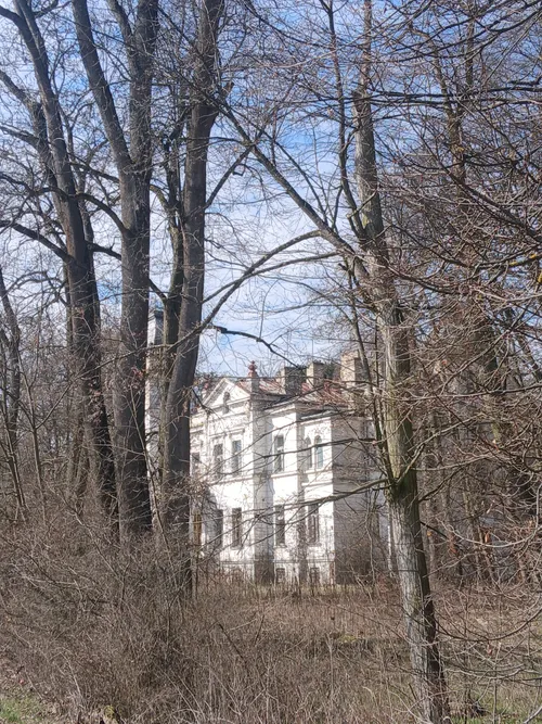 Pałac Wola Boglewska była szkola