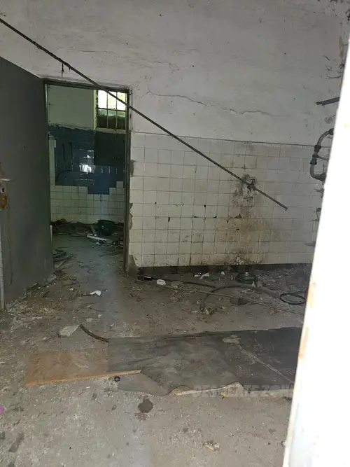 INSTYTUT HODOWLI BYDŁA, BRWINÓW - zdjęcie 17/48