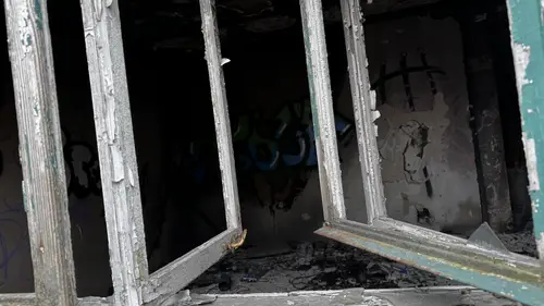 Zarośnięty dom - zdjęcie 2/23