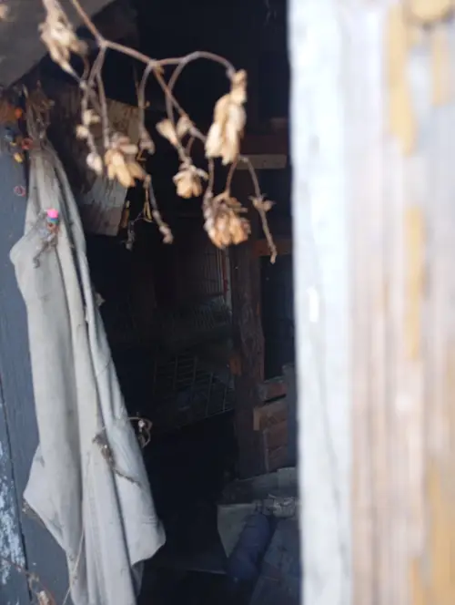 Opuszczony dom z lekko zawalonym dachem - photo 8/9