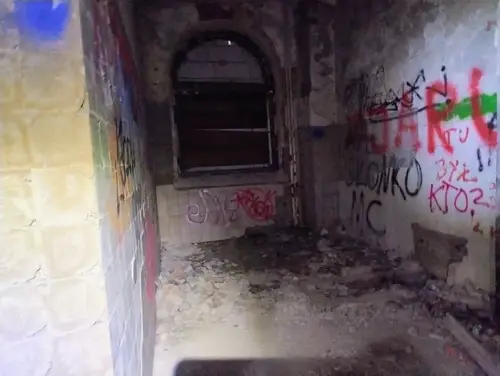 Zakład dla Nerwowo i Psychicznie Chorych Żydów - Zofiówka - photo 17/277